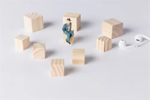 美丽的什么什么歌词含义
